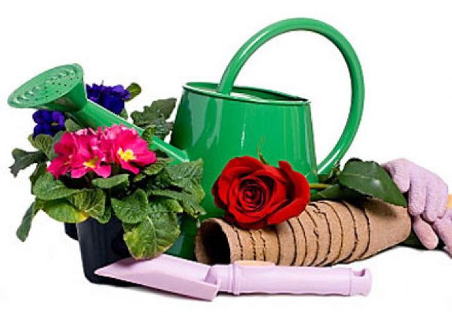 Товары для дачи, сада, огорода купить в интернет магазине luchistii-sudak.ru